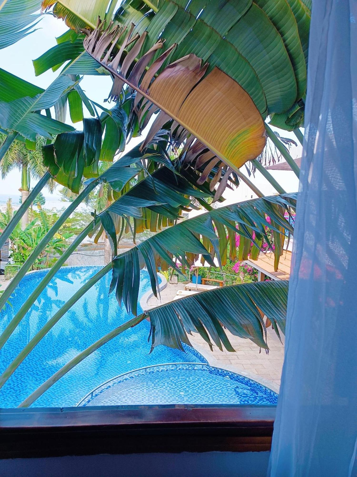 Suncosy Central Hotel دونغ دونغ المظهر الخارجي الصورة
