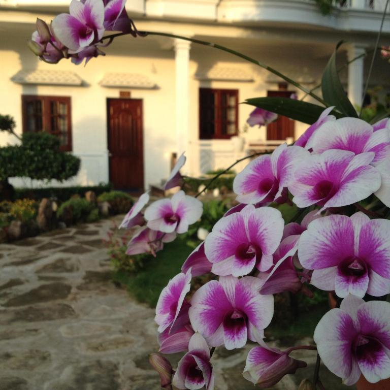 Suncosy Central Hotel دونغ دونغ المظهر الخارجي الصورة